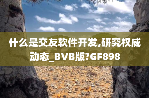 什么是交友软件开发,研究权威动态_BVB版?GF898