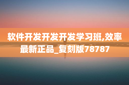 软件开发开发开发学习班,效率最新正品_复刻版78787