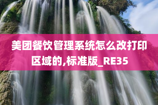 美团餐饮管理系统怎么改打印区域的,标准版_RE35