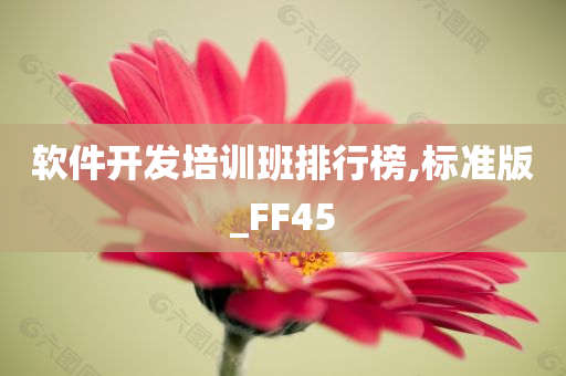 软件开发培训班排行榜,标准版_FF45