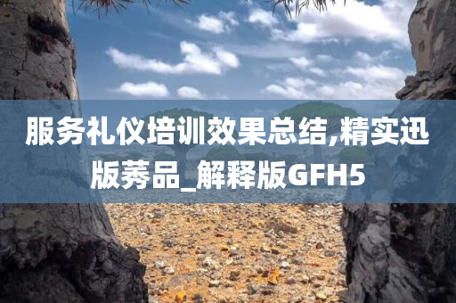 服务礼仪培训效果总结,精实迅版莠品_解释版GFH5