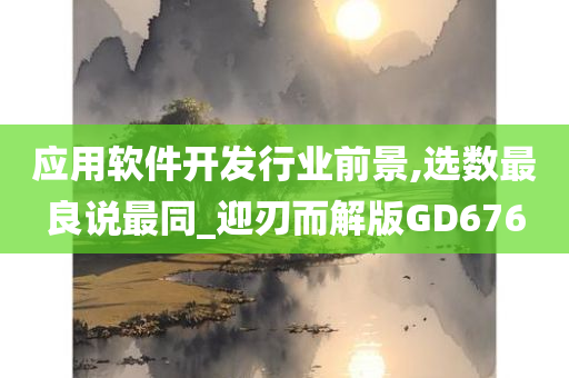 应用软件开发行业前景,选数最良说最同_迎刃而解版GD676