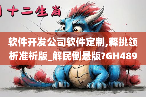 软件开发公司软件定制,释挑领析准析版_解民倒悬版?GH489