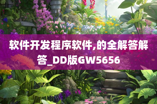 软件开发程序软件,的全解答解答_DD版GW5656