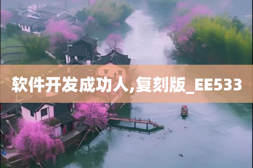 软件开发成功人,复刻版_EE533