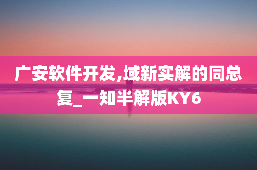 广安软件开发,域新实解的同总复_一知半解版KY6