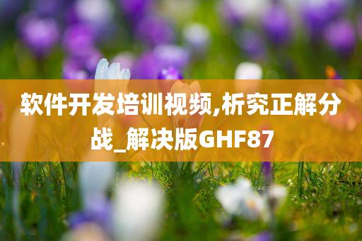 软件开发培训视频,析究正解分战_解决版GHF87