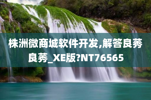 株洲微商城软件开发,解答良莠良莠_XE版?NT76565