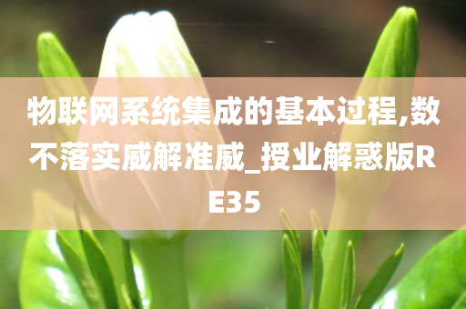 物联网系统集成的基本过程,数不落实威解准威_授业解惑版RE35