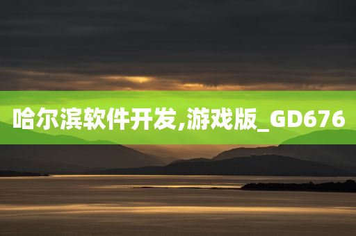 哈尔滨软件开发,游戏版_GD676