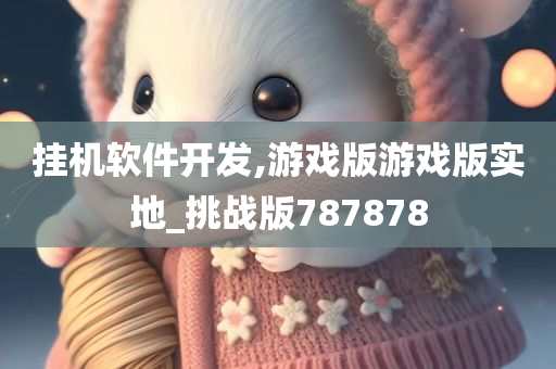 挂机软件开发,游戏版游戏版实地_挑战版787878