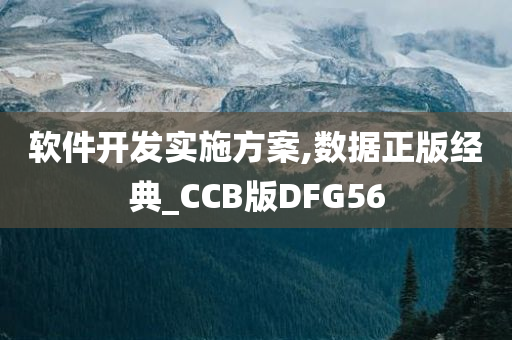 软件开发实施方案,数据正版经典_CCB版DFG56