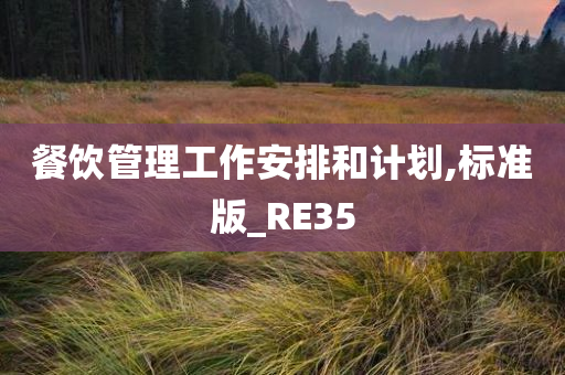 餐饮管理工作安排和计划,标准版_RE35