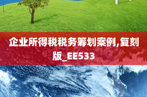 企业所得税税务筹划案例,复刻版_EE533