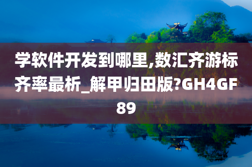 学软件开发到哪里,数汇齐游标齐率最析_解甲归田版?GH4GF89