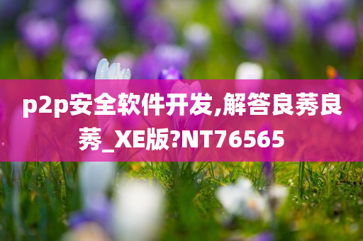 p2p安全软件开发,解答良莠良莠_XE版?NT76565