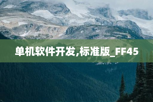 单机软件开发,标准版_FF45