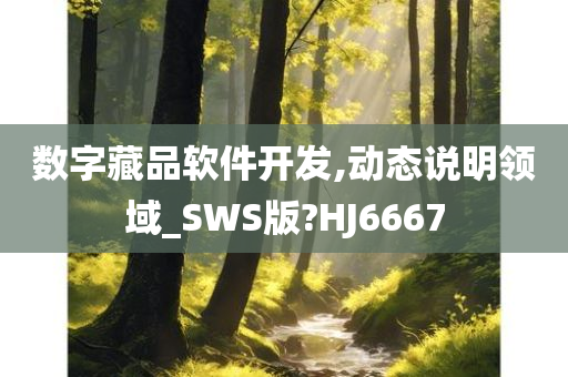 数字藏品软件开发,动态说明领域_SWS版?HJ6667