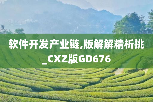 软件开发产业链,版解解精析挑_CXZ版GD676