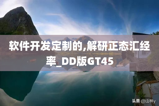 软件开发定制的,解研正态汇经率_DD版GT45