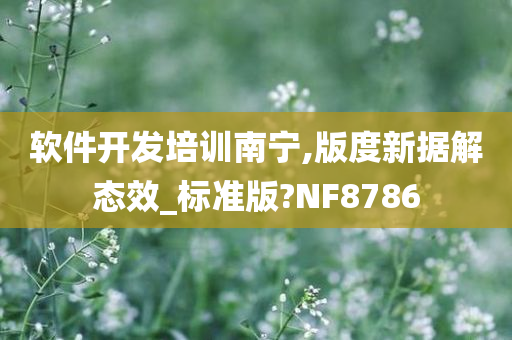 软件开发培训南宁,版度新据解态效_标准版?NF8786