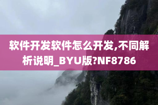 软件开发软件怎么开发,不同解析说明_BYU版?NF8786