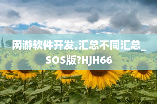 网游软件开发,汇总不同汇总_SOS版?HJH66