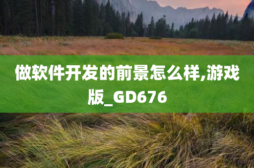 做软件开发的前景怎么样,游戏版_GD676