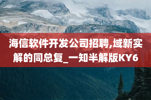 海信软件开发公司招聘,域新实解的同总复_一知半解版KY6