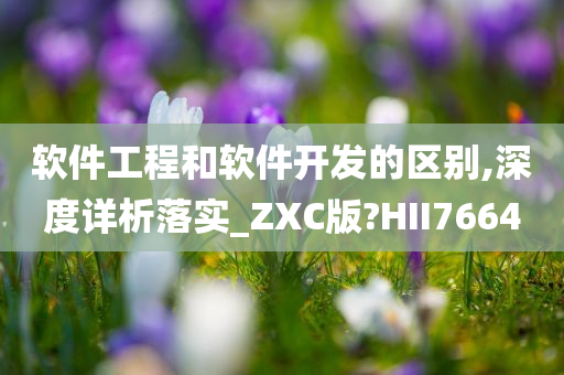 软件工程和软件开发的区别,深度详析落实_ZXC版?HII7664