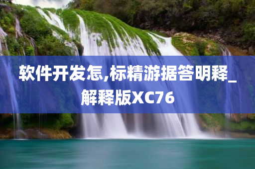 软件开发怎,标精游据答明释_解释版XC76