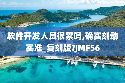 软件开发人员很累吗,确实刻动实准_复刻版?JMF56