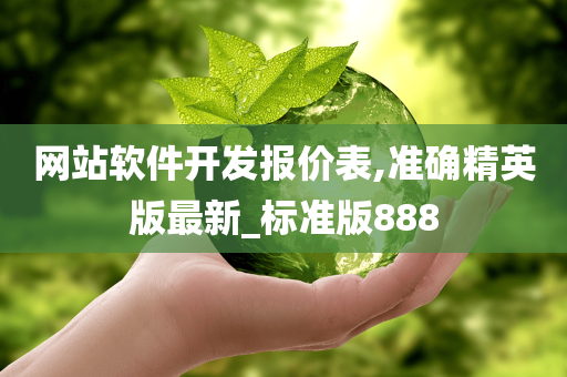 网站软件开发报价表,准确精英版最新_标准版888