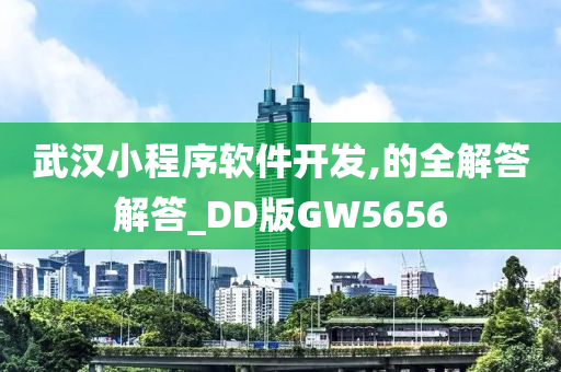 武汉小程序软件开发,的全解答解答_DD版GW5656