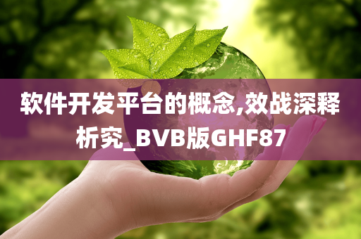 软件开发平台的概念,效战深释析究_BVB版GHF87