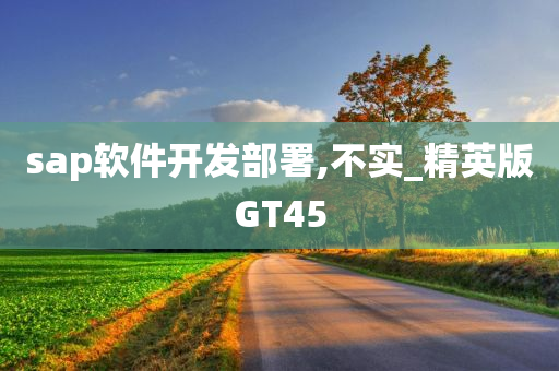 sap软件开发部署,不实_精英版GT45