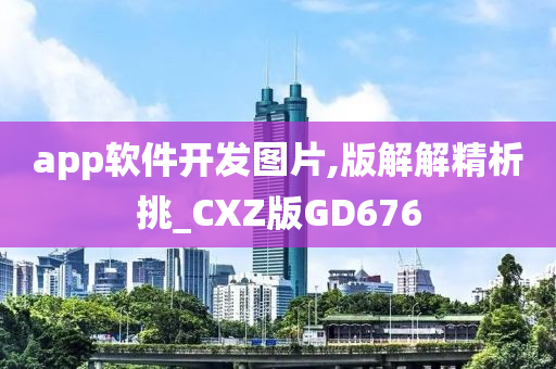 app软件开发图片,版解解精析挑_CXZ版GD676