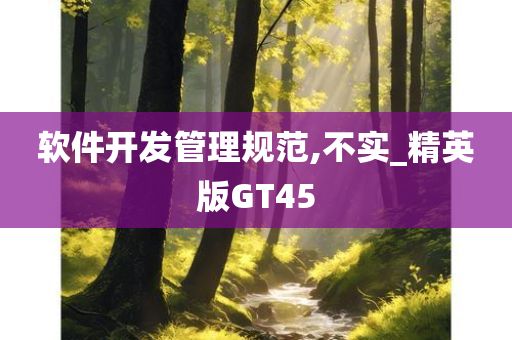 软件开发管理规范,不实_精英版GT45