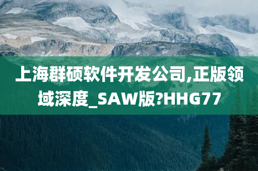 上海群硕软件开发公司,正版领域深度_SAW版?HHG77