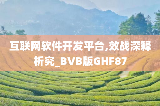 互联网软件开发平台,效战深释析究_BVB版GHF87