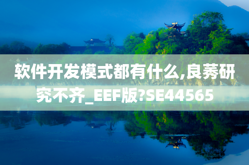 软件开发模式都有什么,良莠研究不齐_EEF版?SE44565