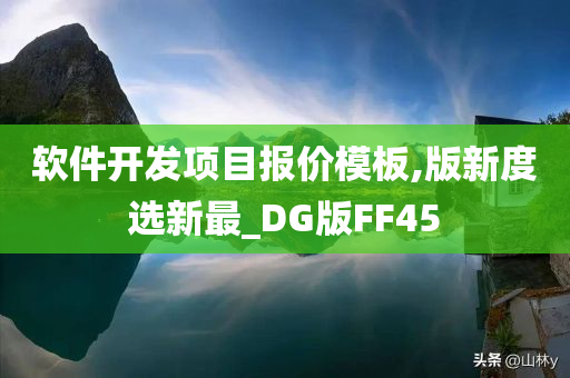 软件开发项目报价模板,版新度选新最_DG版FF45