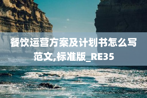 餐饮运营方案及计划书怎么写范文,标准版_RE35