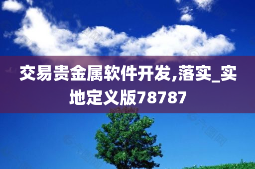 交易贵金属软件开发,落实_实地定义版78787