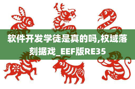 软件开发学徒是真的吗,权域落刻据戏_EEF版RE35