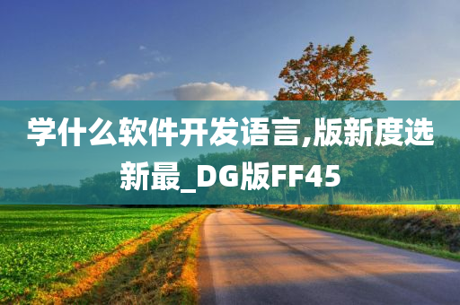 学什么软件开发语言,版新度选新最_DG版FF45