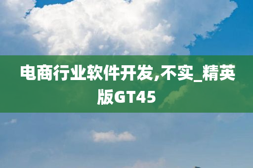 电商行业软件开发,不实_精英版GT45