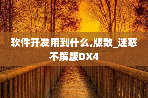 软件开发用到什么,版数_迷惑不解版DX4