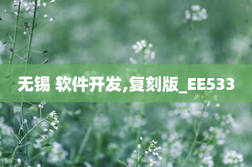 无锡 软件开发,复刻版_EE533