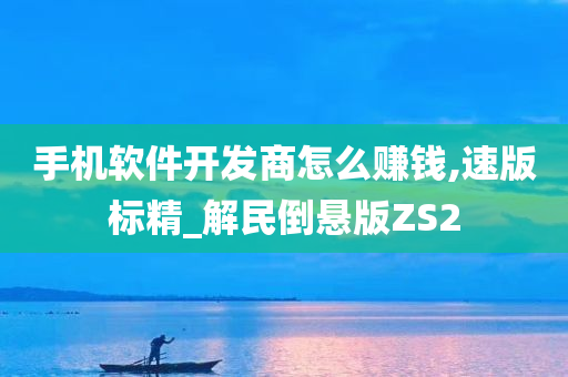 手机软件开发商怎么赚钱,速版标精_解民倒悬版ZS2